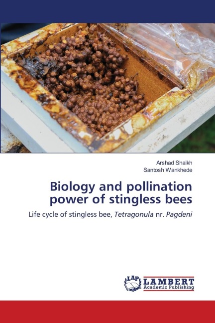 Biology and pollination power of stingless bees: Life cycle of stingless bee, Tetragonula nr. Pagdeni