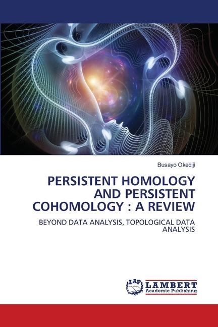 PERSISTENT HOMOLOGY AND PERSISTENT COHOMOLOGY : A REVIEW: BEYOND DATA ANALYSIS, TOPOLOGICAL DATA ANALYSIS