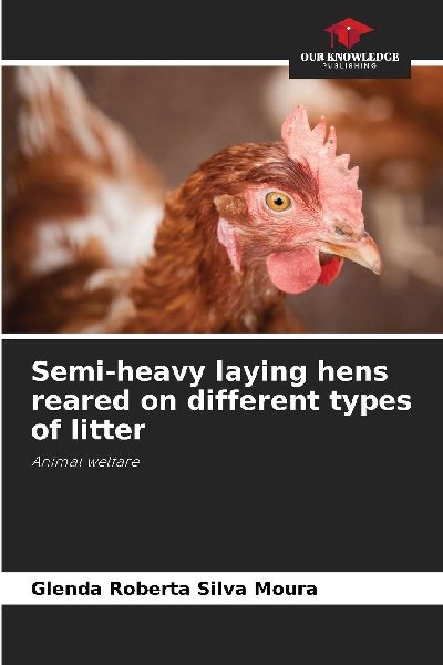 Semi-heavy laying hens reared on different types of litter: Animal welfare