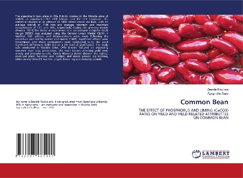 Common Bean: THE EFFECT OF PHOSPHORUS AND LIMING (CaCO3) RATES ON YIELD AND YIELD RELATED ATTRIBUTTES ON COMMON BEAN