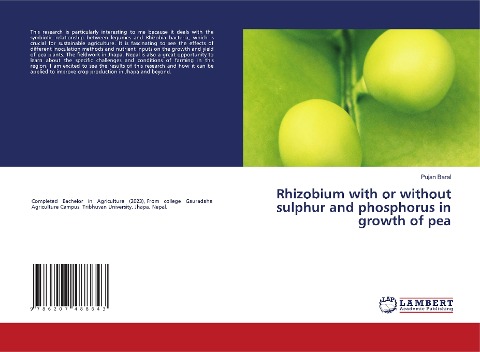 Rhizobium with or without sulphur and phosphorus in growth of pea