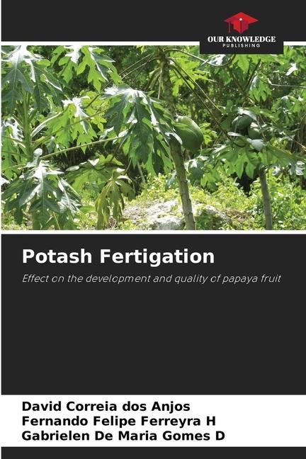 Potash Fertigation: Effect on the development and quality of papaya fruit