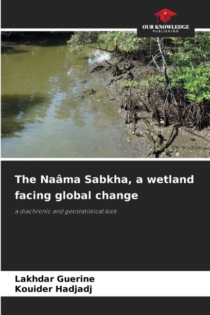 The Naâma Sabkha, a wetland facing global change: a diachronic and geostatistical look