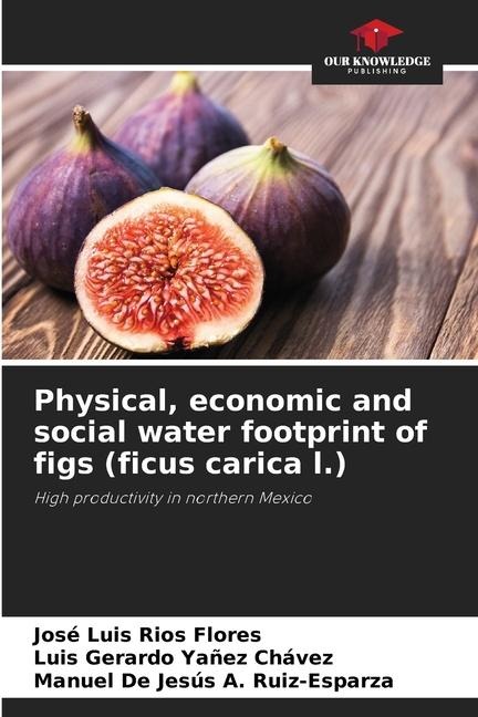 Physical, economic and social water footprint of figs (ficus carica l.): High productivity in northern Mexico