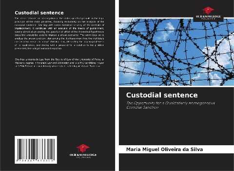 Custodial sentence: The Opportunity for a Qualitatively Homogeneous Criminal Sanction