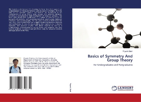 Basics of Symmetry And Group Theory: For Undergraduates and Postgraduates