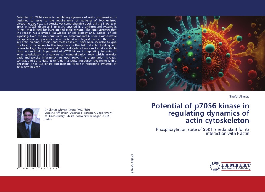 Potential of p70S6 kinase in regulating dynamics of actin cytoskeleton: Phosphorylation state of S6K1 is redundant for its interaction with F actin