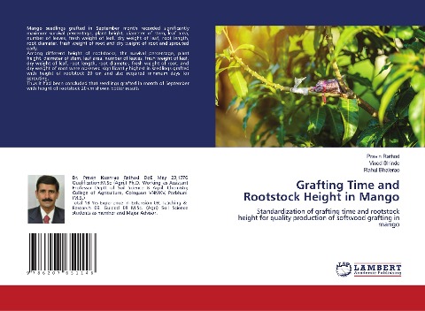Grafting Time and Rootstock Height in Mango: Standardization of grafting time and rootstock height for quality production of softwood grafting in mango