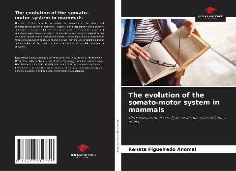 The evolution of the somato-motor system in mammals: The sensory-motor amalgam of the opossum Didelphis aurita