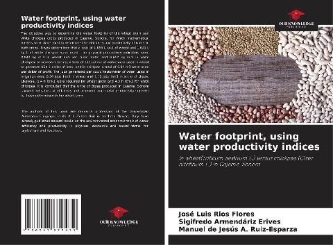 Water footprint, using water productivity indices: In wheat(Triticum aestivum L.) versus chickpea (Ciser arietinum L.) in Cajeme, Sonora