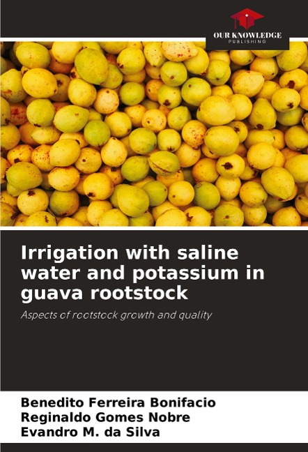Irrigation with saline water and potassium in guava rootstock: Aspects of rootstock growth and quality