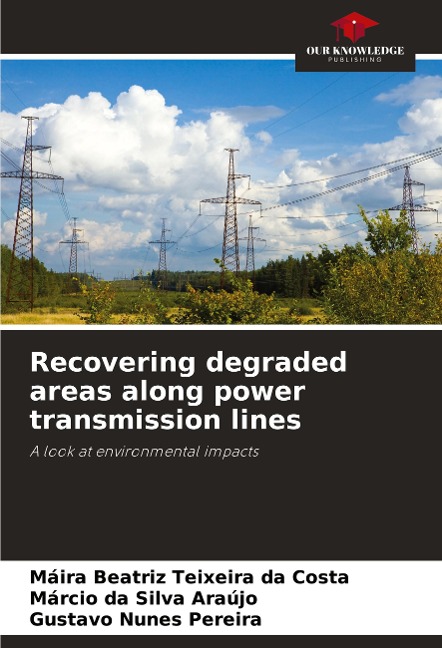 Recovering degraded areas along power transmission lines: A look at environmental impacts