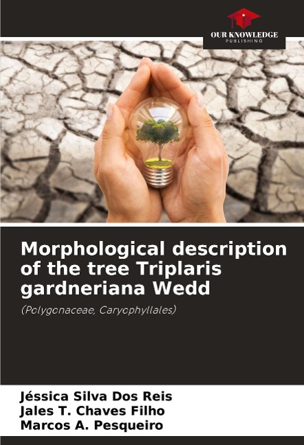 Morphological description of the tree Triplaris gardneriana Wedd: (Polygonaceae, Caryophyllales)