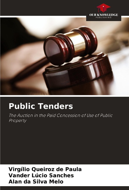 Public Tenders: The Auction in the Paid Concession of Use of Public Property