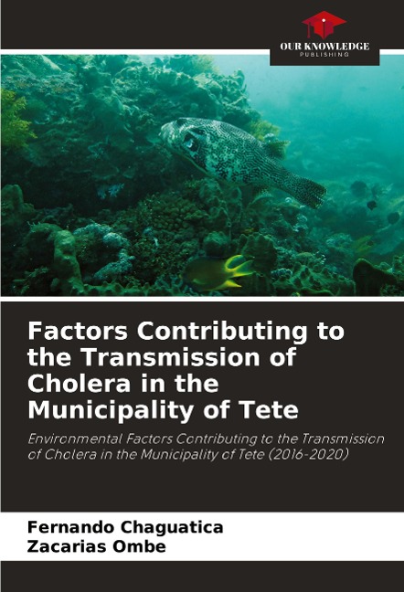 Factors Contributing to the Transmission of Cholera in the Municipality of Tete: Environmental Factors Contributing to the Transmission of Cholera in the Municipality of Tete (2016-2020)