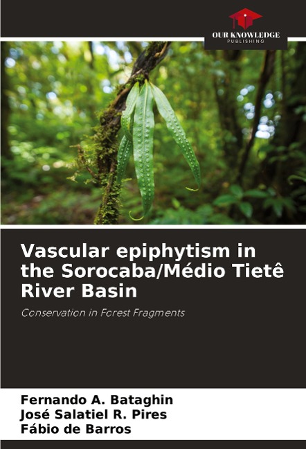 Vascular epiphytism in the Sorocaba/Médio Tietê River Basin: Conservation in Forest Fragments