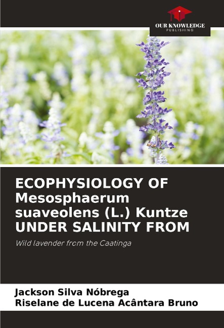 ECOPHYSIOLOGY OF Mesosphaerum suaveolens (L.) Kuntze UNDER SALINITY FROM: Wild lavender from the Caatinga