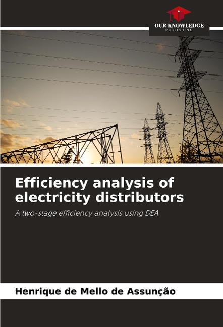 Efficiency analysis of electricity distributors: A two-stage efficiency analysis using DEA