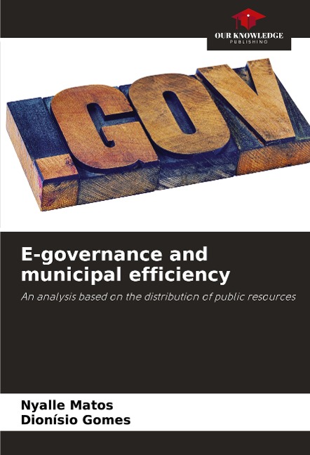 E-governance and municipal efficiency: An analysis based on the distribution of public resources