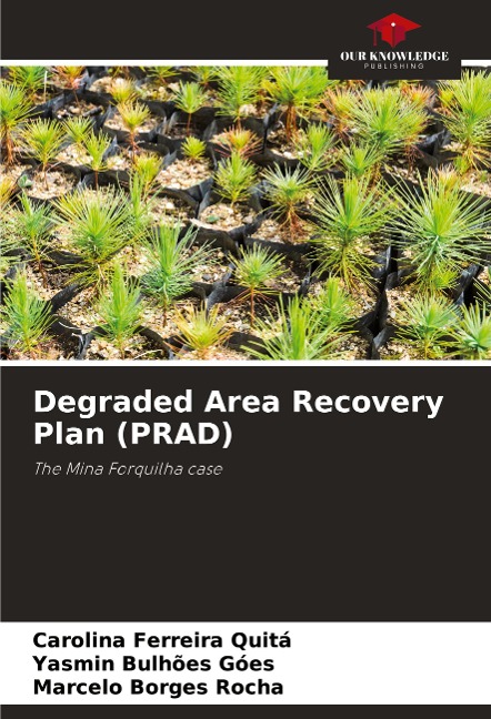 Degraded Area Recovery Plan (PRAD): The Mina Forquilha case