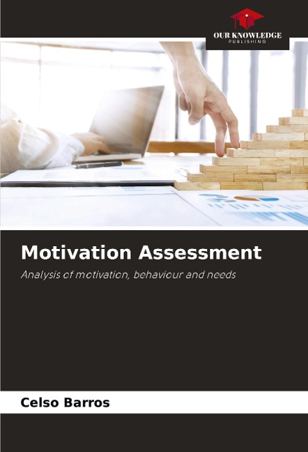 Motivation Assessment: Analysis of motivation, behaviour and needs