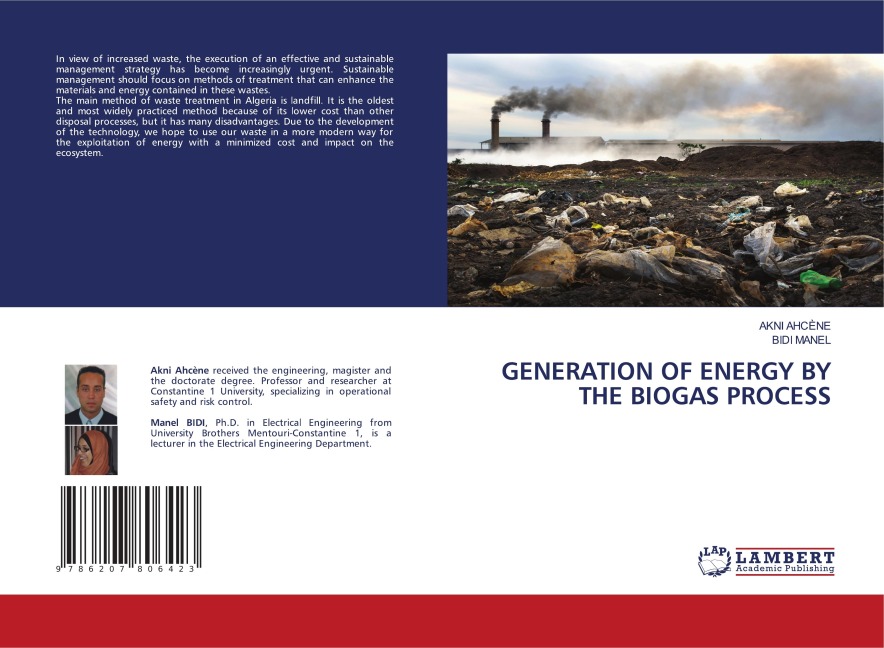 GENERATION OF ENERGY BY THE BIOGAS PROCESS