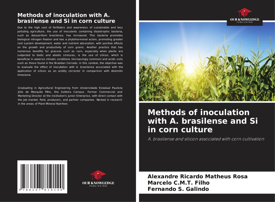 Methods of inoculation with A. brasilense and Si in corn culture: A. brasilense and silicon associated with corn cultivation