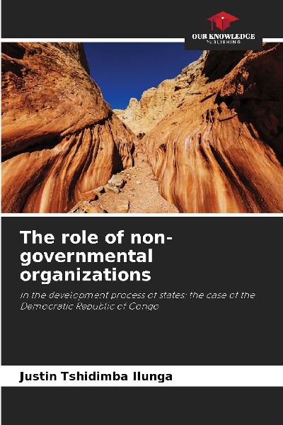 The role of non-governmental organizations: in the development process of states: the case of the Democratic Republic of Congo