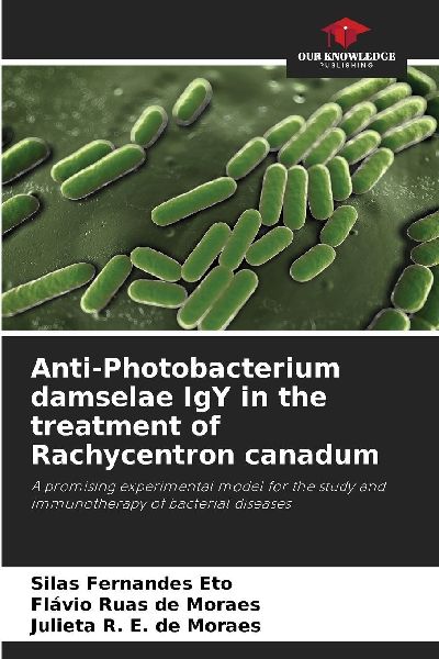 Anti-Photobacterium damselae IgY in the treatment of Rachycentron canadum: A promising experimental model for the study and immunotherapy of bacterial diseases