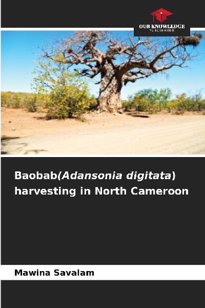 Baobab(Adansonia digitata) harvesting in North Cameroon