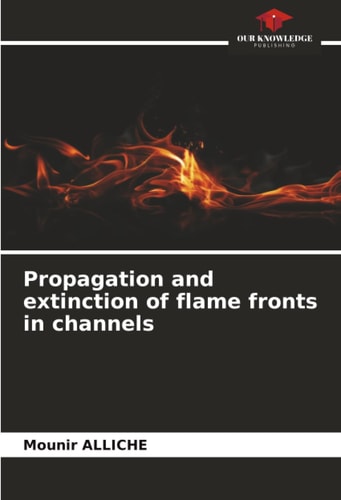 Propagation and extinction of flame fronts in channels