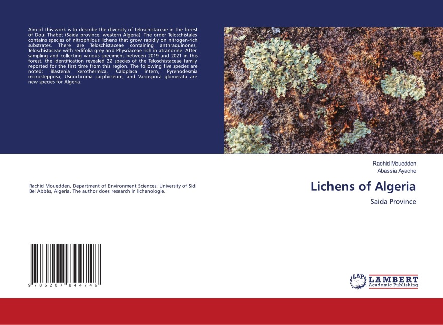 Lichens of Algeria: Saida Province