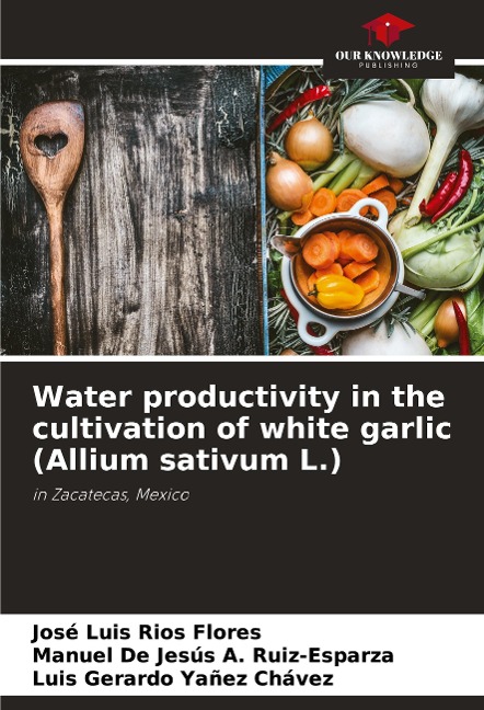 Water productivity in the cultivation of white garlic (Allium sativum L.): in Zacatecas, Mexico