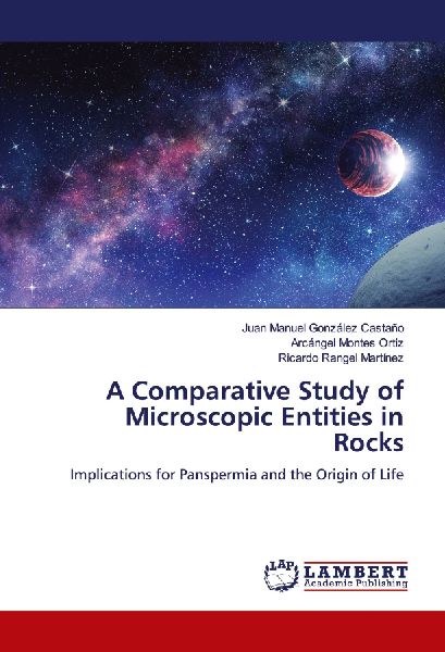 A Comparative Study of Microscopic Entities in Rocks: Implications for Panspermia and the Origin of Life