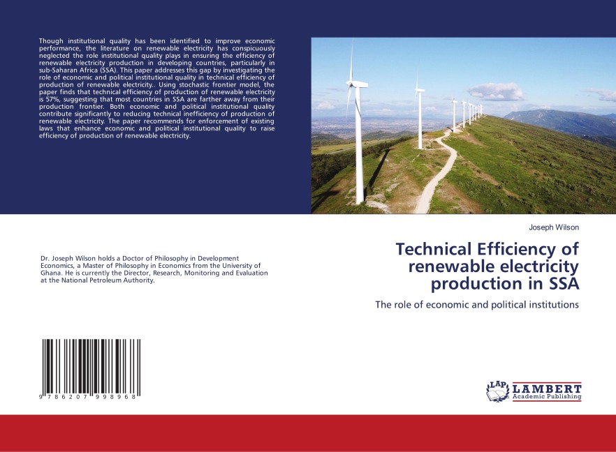 Technical Efficiency of renewable electricity production in SSA: The role of economic and political institutions