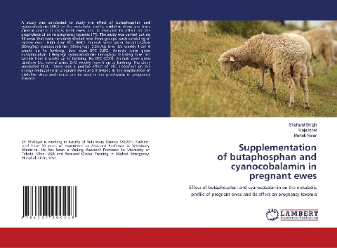Supplementation of butaphosphan and cyanocobalamin in pregnant ewes: Effect of butaphosphan and cyanocobalamin on the metabolic profile of pregnant ewes and its effect on pregnancy toxemia