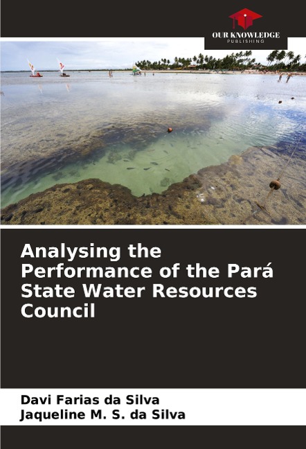 Analysing the Performance of the Pará State Water Resources Council