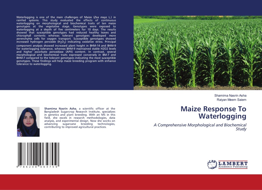 Maize Response To Waterlogging: A Comprehensive Morphological and Biochemical Study
