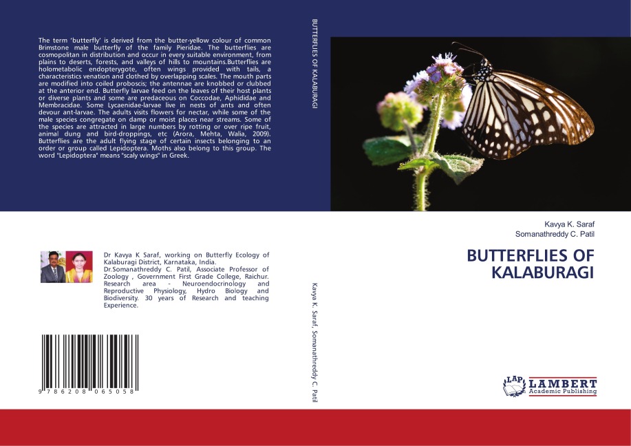 BUTTERFLIES OF KALABURAGI