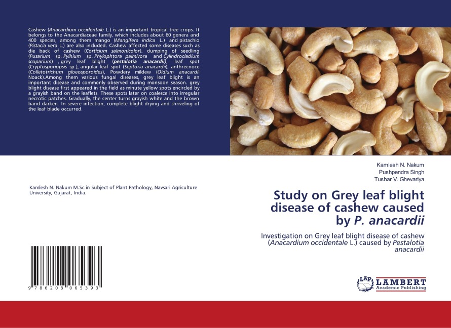 Study on Grey leaf blight disease of cashew caused by P. anacardii: Investigation on Grey leaf blight disease of cashew (Anacardium occidentale L.) caused by Pestalotia anacardii