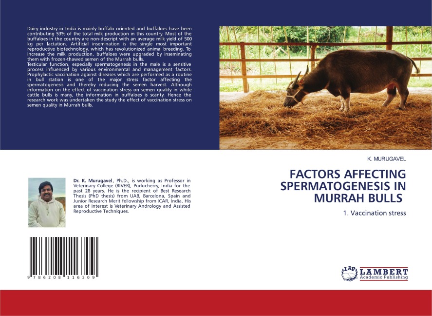 FACTORS AFFECTING SPERMATOGENESIS IN MURRAH BULLS: 1. Vaccination stress