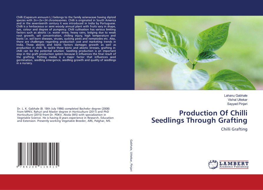 Production Of Chilli Seedlings Through Grafting: Chilli Grafting