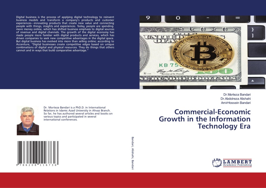 Commercial-Economic Growth in the Information Technology Era