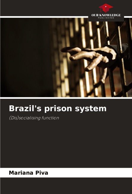 Brazils prison system: (Dis)socialising function