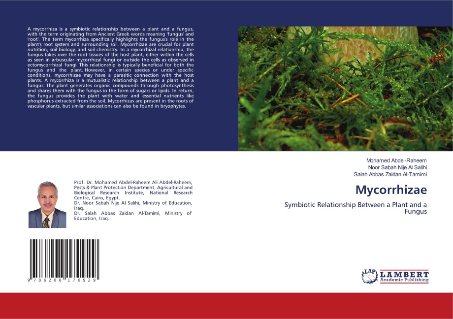 Mycorrhizae: Symbiotic Relationship Between a Plant and a Fungus
