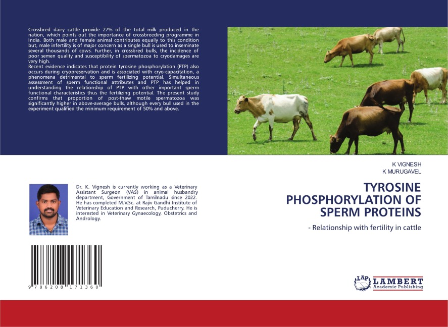 TYROSINE PHOSPHORYLATION OF SPERM PROTEINS: - Relationship with fertility in cattle