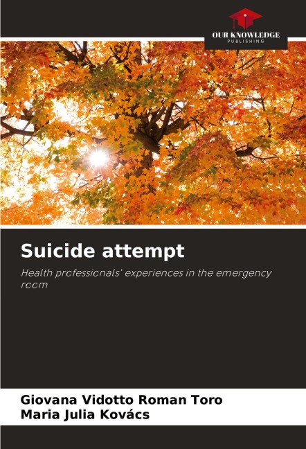 Suicide attempt: Health professionals experiences in the emergency room