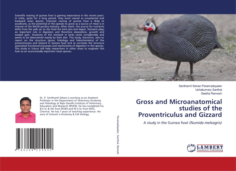 Gross and Microanatomical studies of the Proventriculus and Gizzard: A study in the Guinea fowl (Numida meleagris)