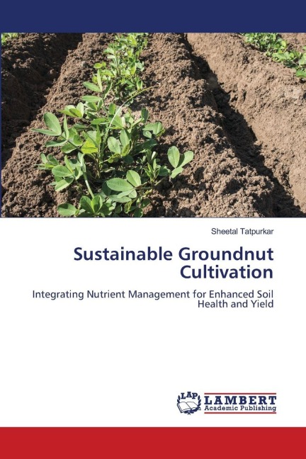 Sustainable Groundnut Cultivation: Integrating Nutrient Management for Enhanced Soil Health and Yield