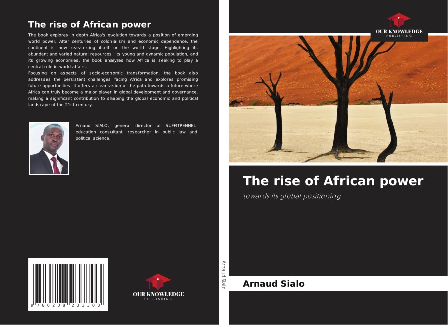 The rise of African power: towards its global positioning
